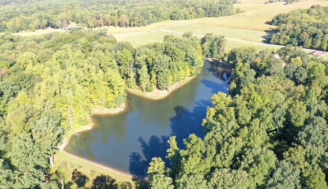 Beautiful, cozy, lakeside wooded getaway in serene surroundings.