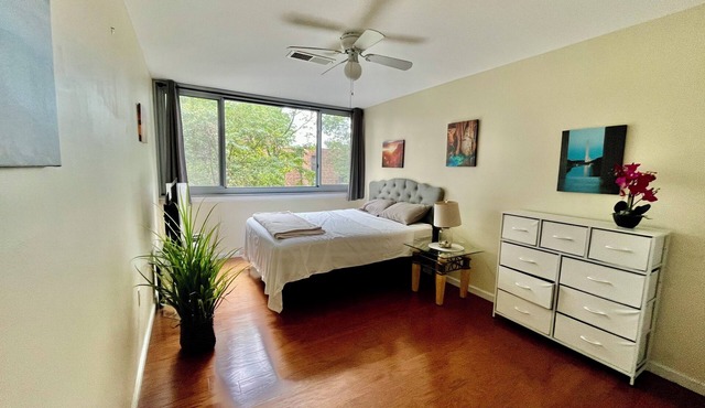 “Beautiful, Cozy & Lot of Natural Light Condo!”