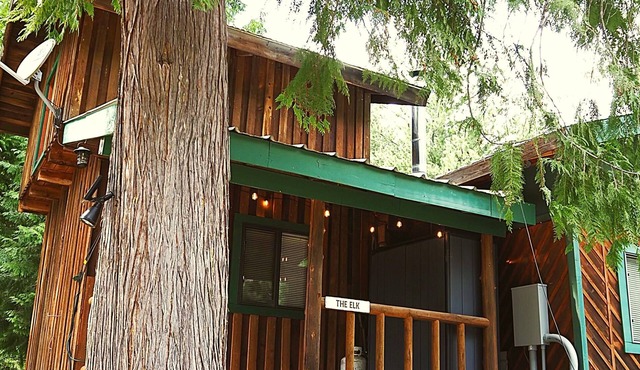 Beautiful custom built log cabin with AC, WiFi in private forest retreat