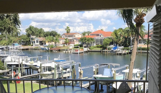 Beautiful Dog Friendly Tierra Verde Waterfront Condo