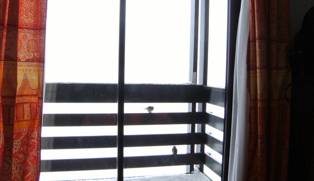 Beautiful DUPLEX (48m2) Balcony, Superb valley view, 100m Ski slopes, classified 2 *