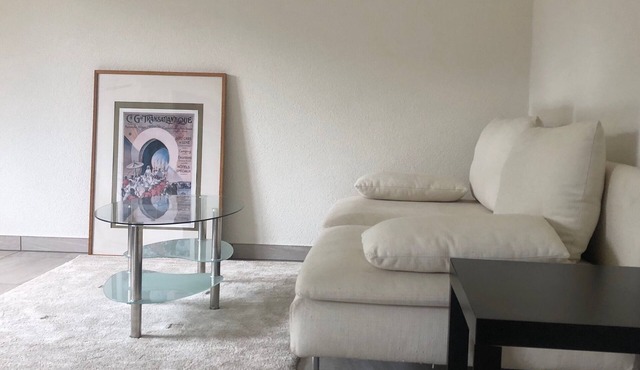 BEAUTIFUL DUPLEX APARTMENT IN THE COUNTRYSIDE 3KM FROM DELEMONT