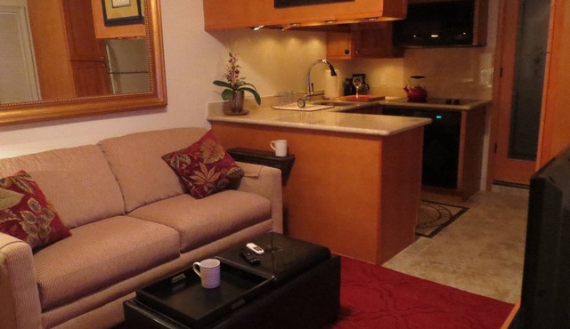 Beautiful Efficiency: full size kitchen, pet & 420 friendly, walk to everything