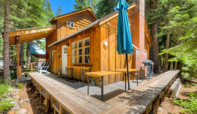 Beautiful family and dog-friendly cabin with gas fireplace, puzzles & games