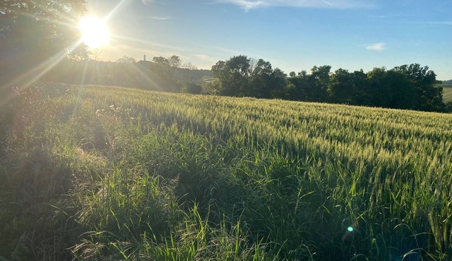 beautiful family country house