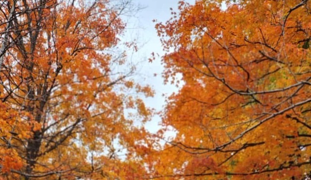 Beautiful family house in Desired neighborhood !!