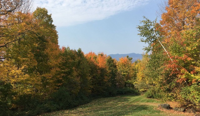 Beautiful Family Home with Views and Trails out the Door