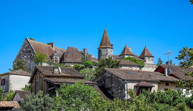 Beautiful farmhouse with a private pool, walking distance to village of Lauzun.