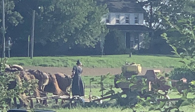 Beautiful Farmland View