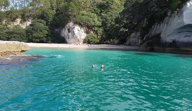 Beautiful Flaxmill Bay (Cooks Beach)