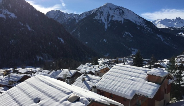 Beautiful apartment with magnificent views, 200 m from the ski lifts!