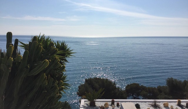 Beautiful mansion on the footsteps of Monaco Monte Carlo