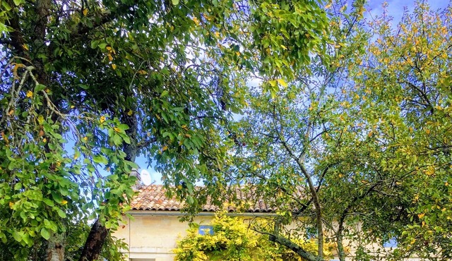 Beautiful Gite 1 hour from Bordeaux & La Rochelle