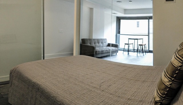 Beautiful Furnished Condo next to College Subway Station