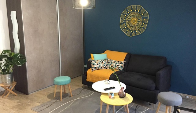 Beautiful furnished studio BAYONNE Marracq