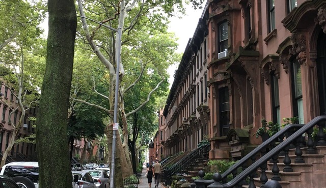Beautiful Garden Apartment in Prime Fort Greene