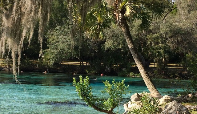 Beautiful Get-away - Ocala National Forest @ Salt Springs Resort- Loaner kayaks!