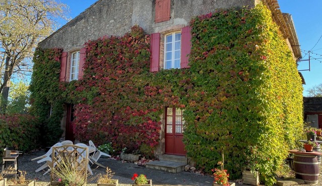 Beautiful gite in wine domaine with shared pool, games barn & petanque court