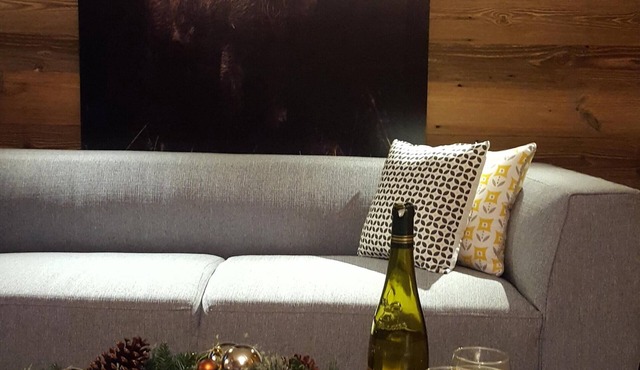 Beautiful ground floor ski in/out apartment. 2 mins from lift
