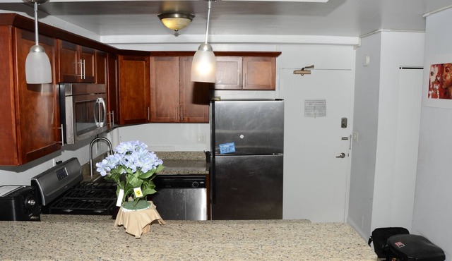 Beautiful high rise Near Downtown. Breathtaking view of the lake. King bed