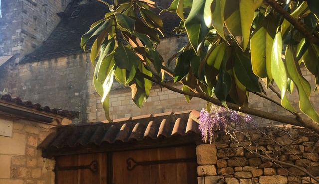 Beautiful historic XIVth and modern residence