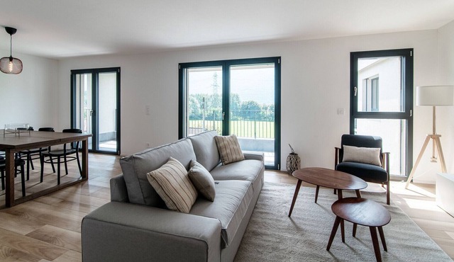 Beautiful holiday flat with vineyard view (GRAPPOLI 31)