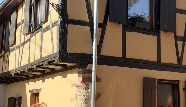 Beautiful holidays in Alsace, near Colmar - gîte de la Muse