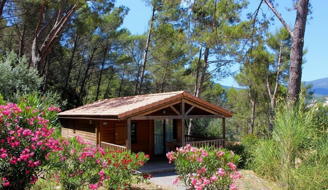 Beautiful home in Solliès Toucas with sauna