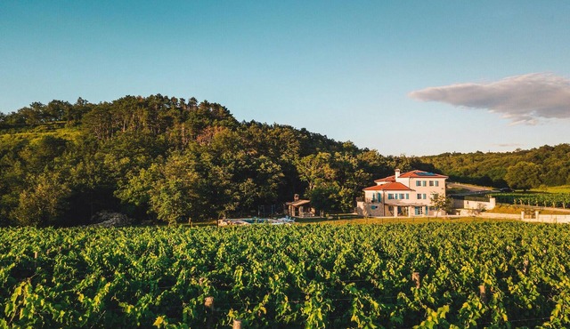 Beautiful home in Buje