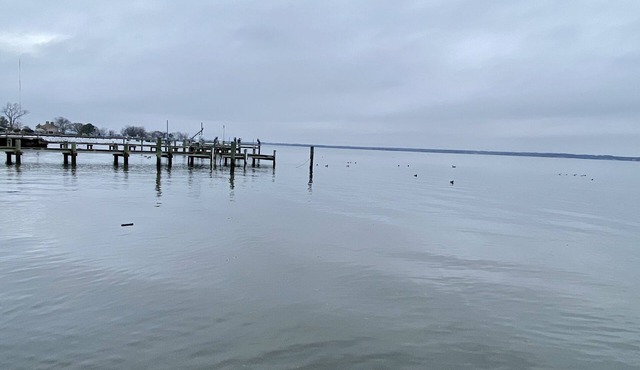 Beautiful Home in Historic Waterfront District, Walk to Downtown!