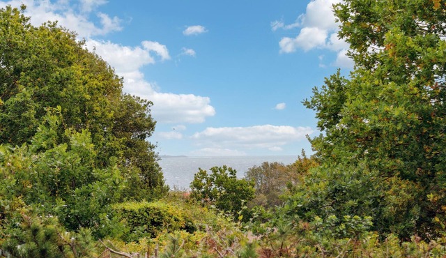 Beautiful home in Knebel