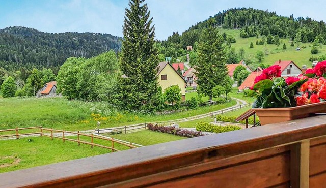 Beautiful home in Mrkopalj with sauna