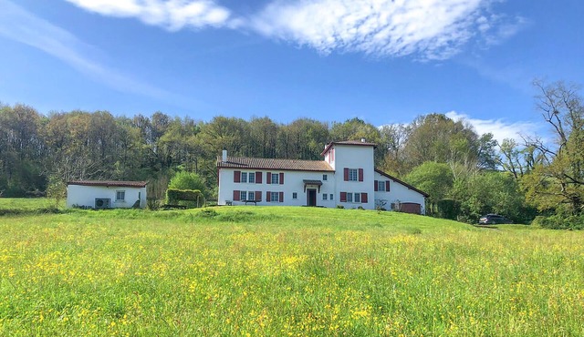 Beautiful home in Oregue