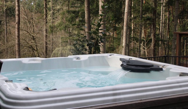 Beautiful Home in the middle of Vashon Island