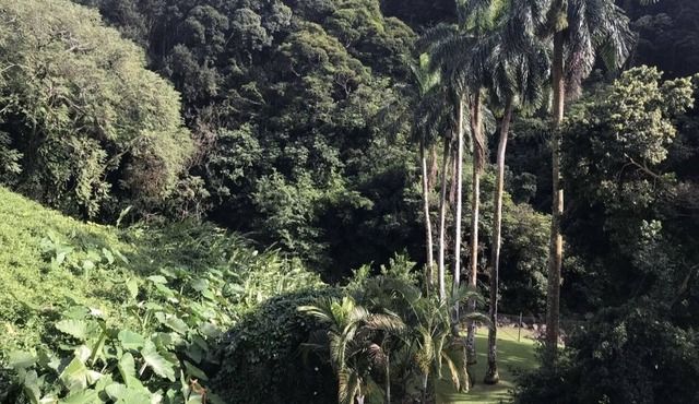 Beautiful home in the rainforest near Honolulu