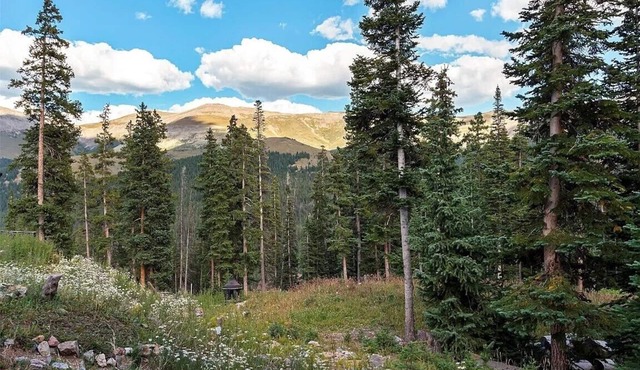 Beautiful home in Blue River steps away from Quandry Peak and Breckenridge