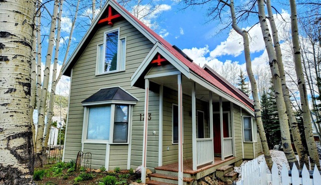 Beautiful home in downtown Crested Butte, dog friendly!