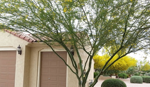Beautiful Home located in Anthem at Merrill Ranch