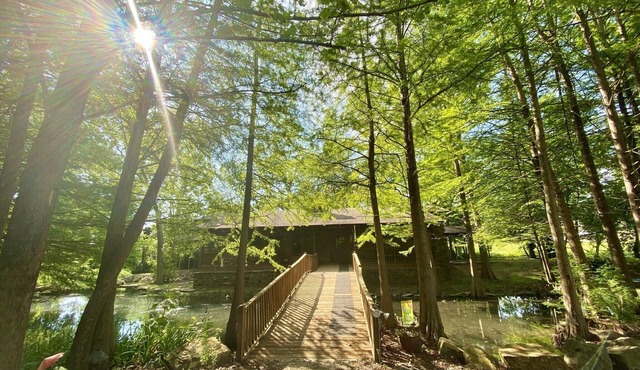 Beautiful home- near the University-large outdoor spaces and a hot tub.