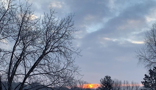 Beautiful home nestled on almost 2 acres in the city.