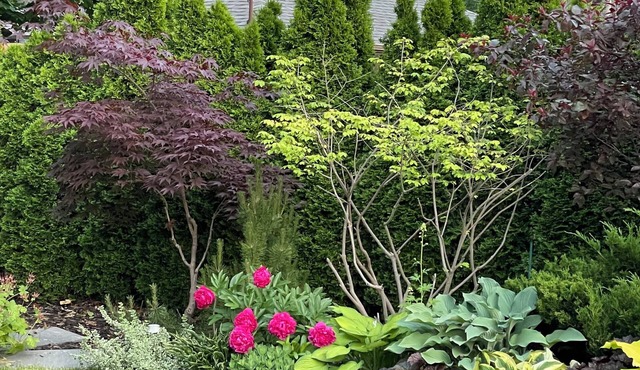 Beautiful Home with Hot Tub by Airport & 20 min to Downtown Toronto