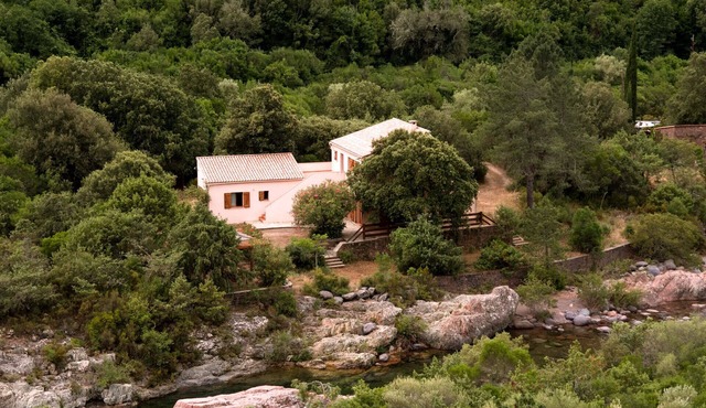 Beautiful house, exceptional location