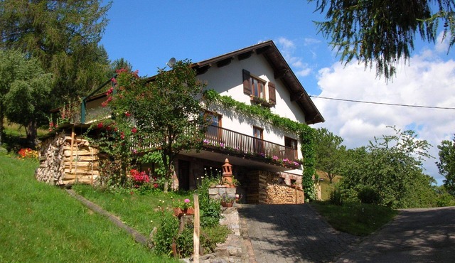 Beautiful house in Alsace (in the Valley of Munster)