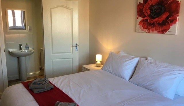 Beautiful House in Great Location!