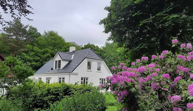 Beautiful house in the forest and by the fjord