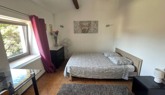 Beautiful house in Vallence, with large swimming pool and air-conditioning in night area