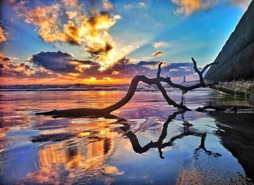 Beautiful House in Village Newburgh Ellon