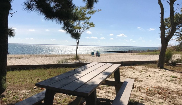 Beautiful house, large private yard, only two minutes walk from private beach