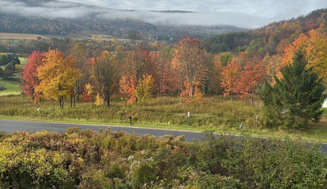 Beautiful house Pool table and outdoor hot tub! 5 minutes from Holiday Valley!