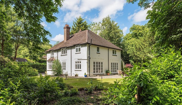 Beautiful House set in 1.3 acre Woodland. Nearby Goodwood Events! Dogs Welcome!